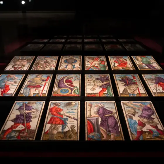 Tarocchi Installation Accademia Carrara 2026 ph. Antonio Cadei